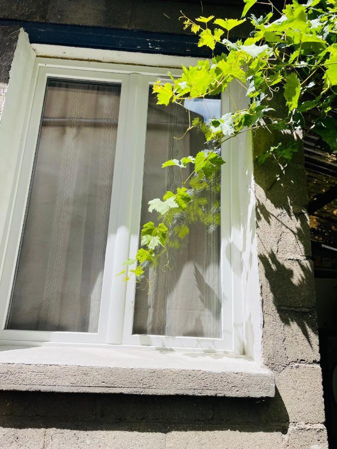 Studio Independant De 25M2 Apartment Витри сюр Сен Екстериор снимка